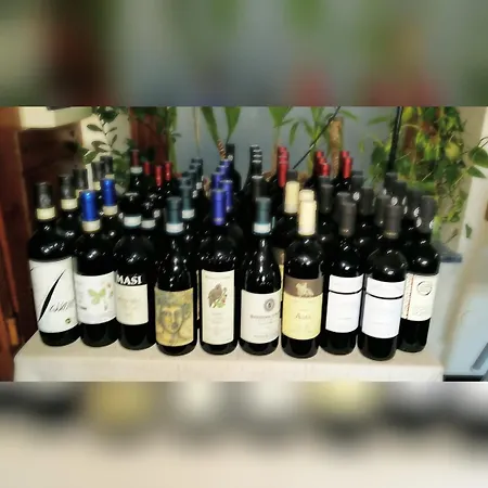 מלון Ristorante Il Caminetto דיאנו מרינה